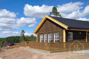 Karkasinių namų statyba